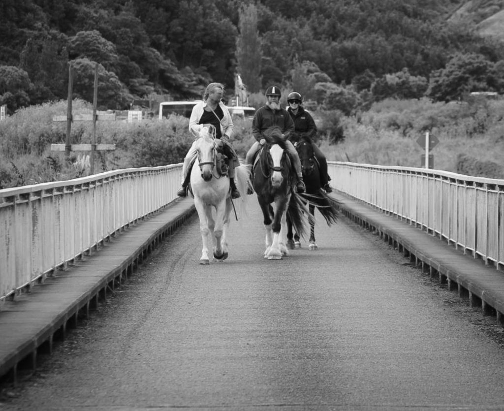 Horseriding web